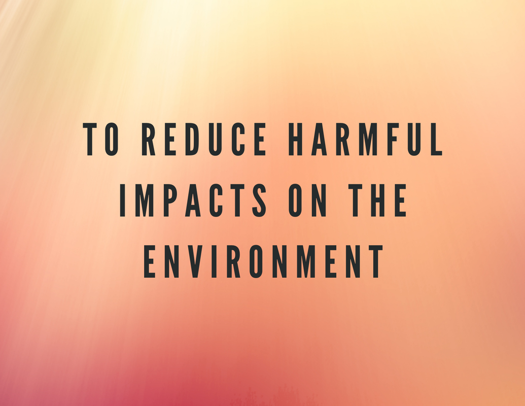 Reduce Harmful Impacts On The Environment | We Are More | Maui, Hawaii